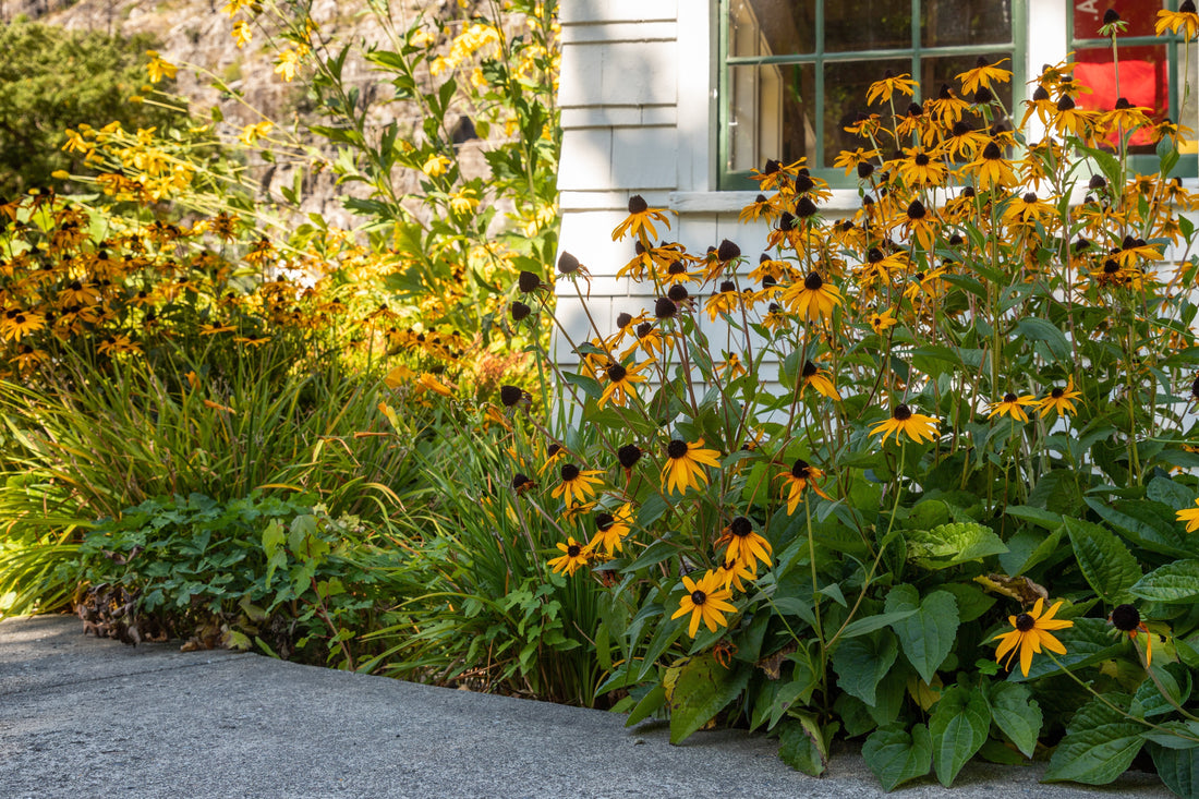10 Things Every Nashville Homeowner Should Do Before Fall