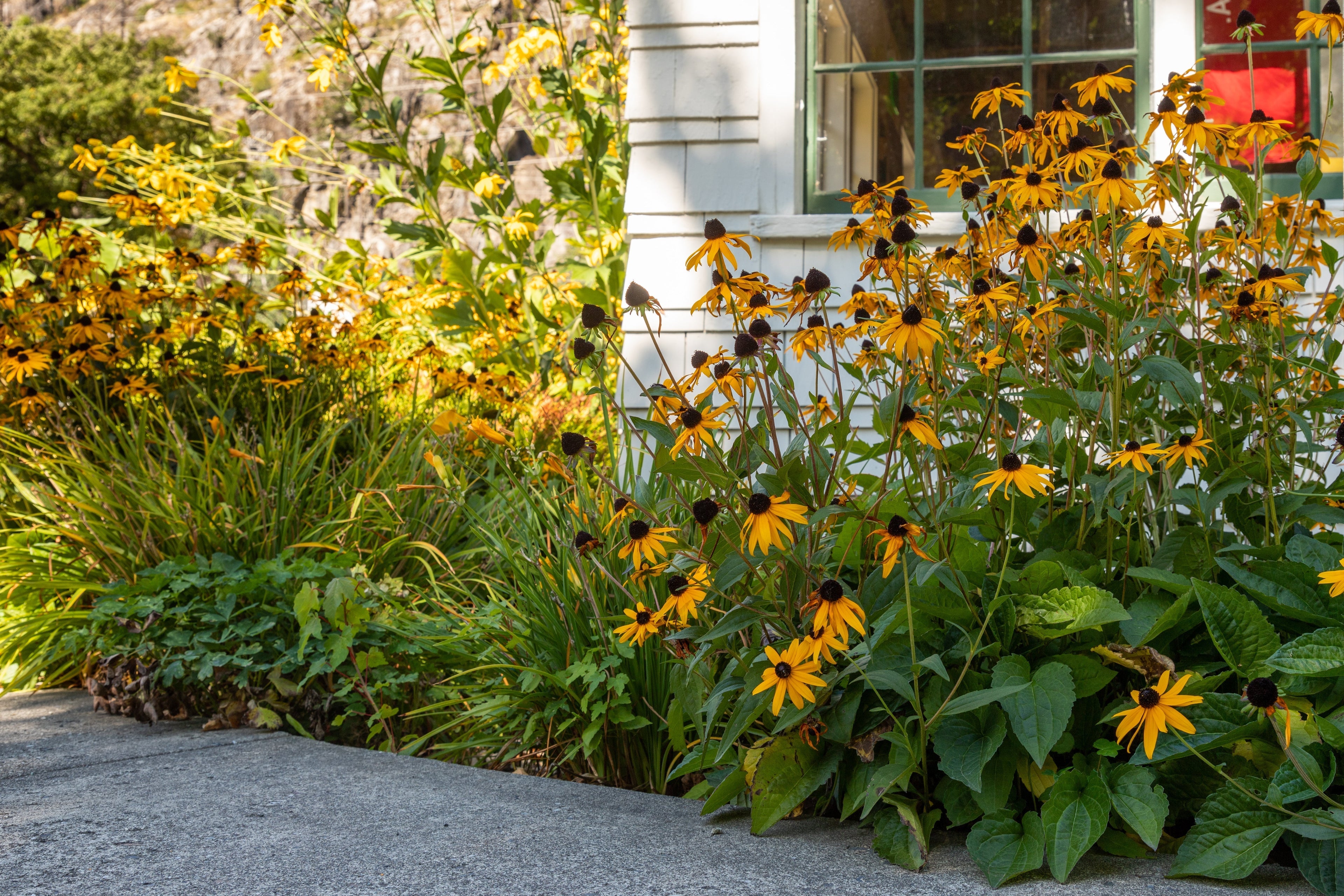 10 Things Every Nashville Homeowner Should Do Before Fall