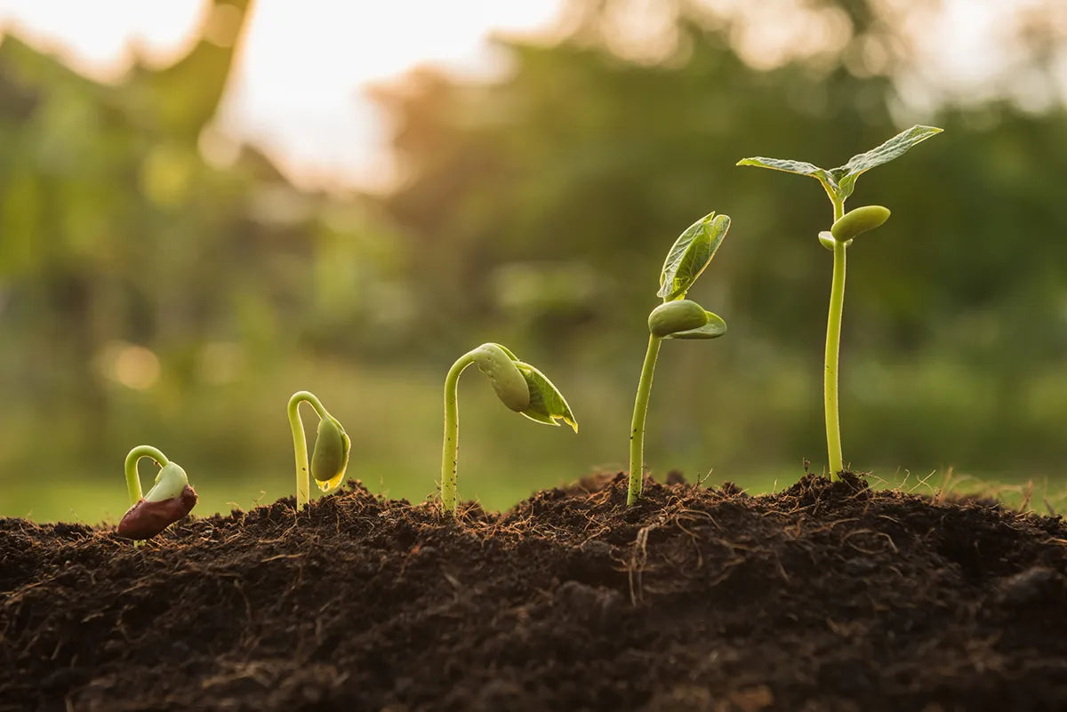 The Compost Company Raises Capital to Further Scale Organics Recycling Services
