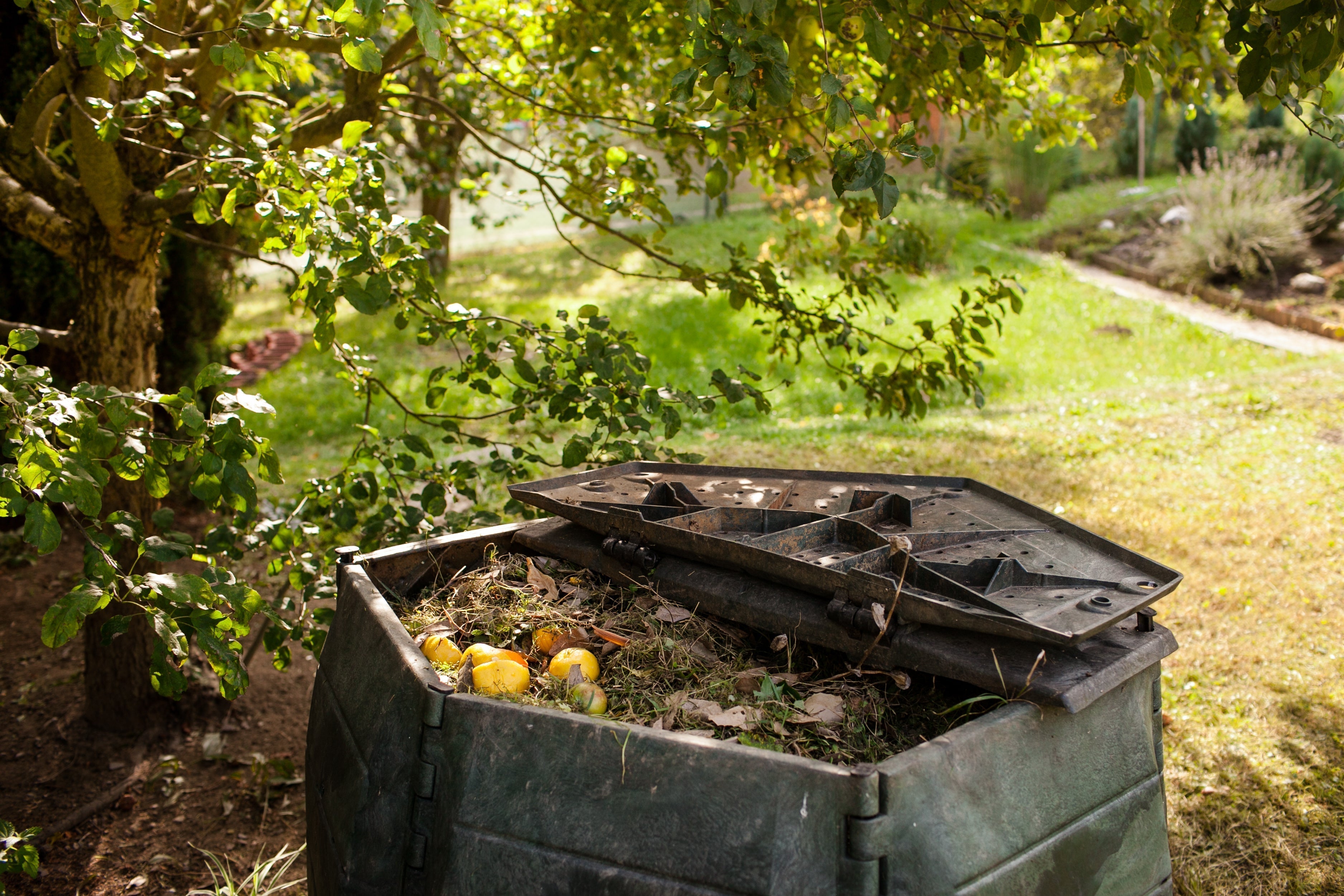 Composting for Beginners: A Nashville Neighbor's Guide to Getting Started