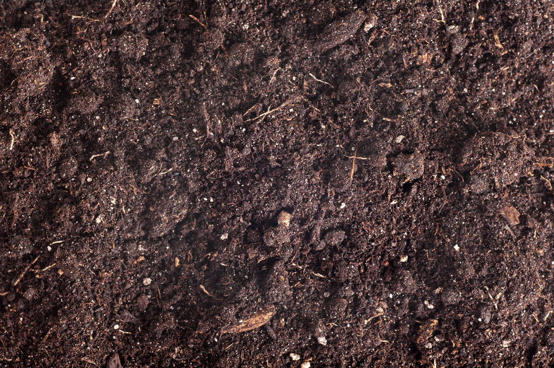 Plan Ahead: Why Smart Gardeners Order Compost in January