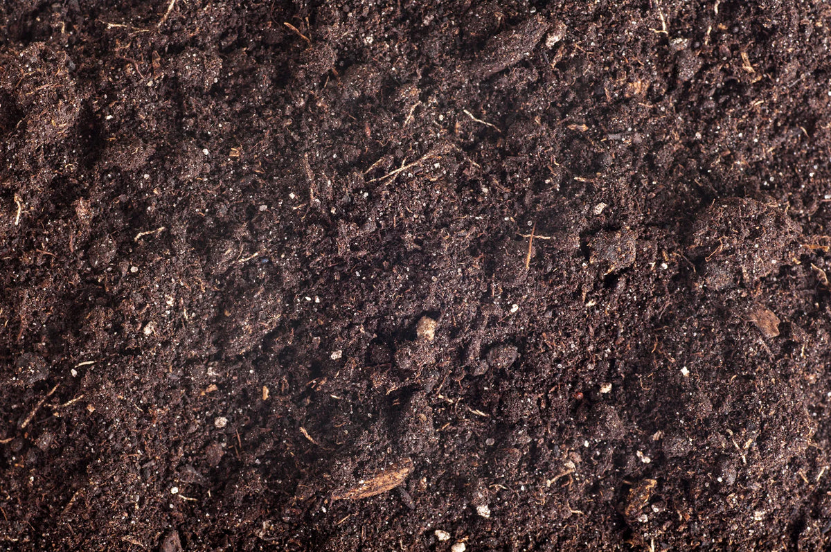 How to Fix Compacted Soil in Tennessee
