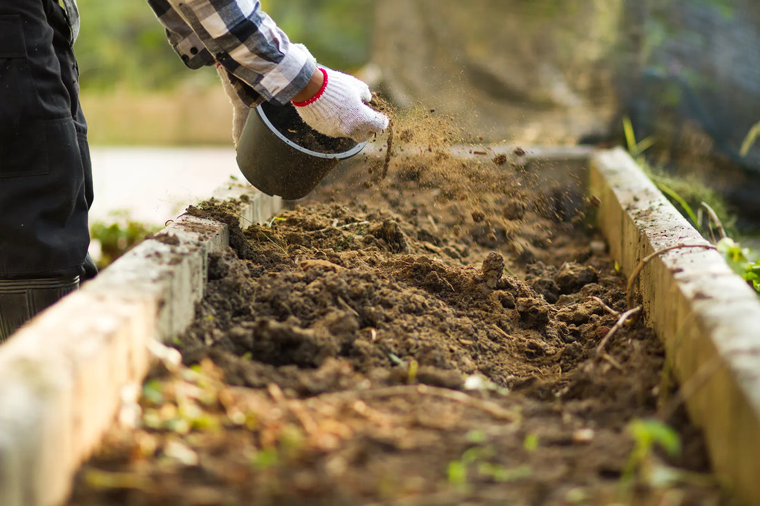 The Best Soil for Raised Garden Beds in Nashville, TN