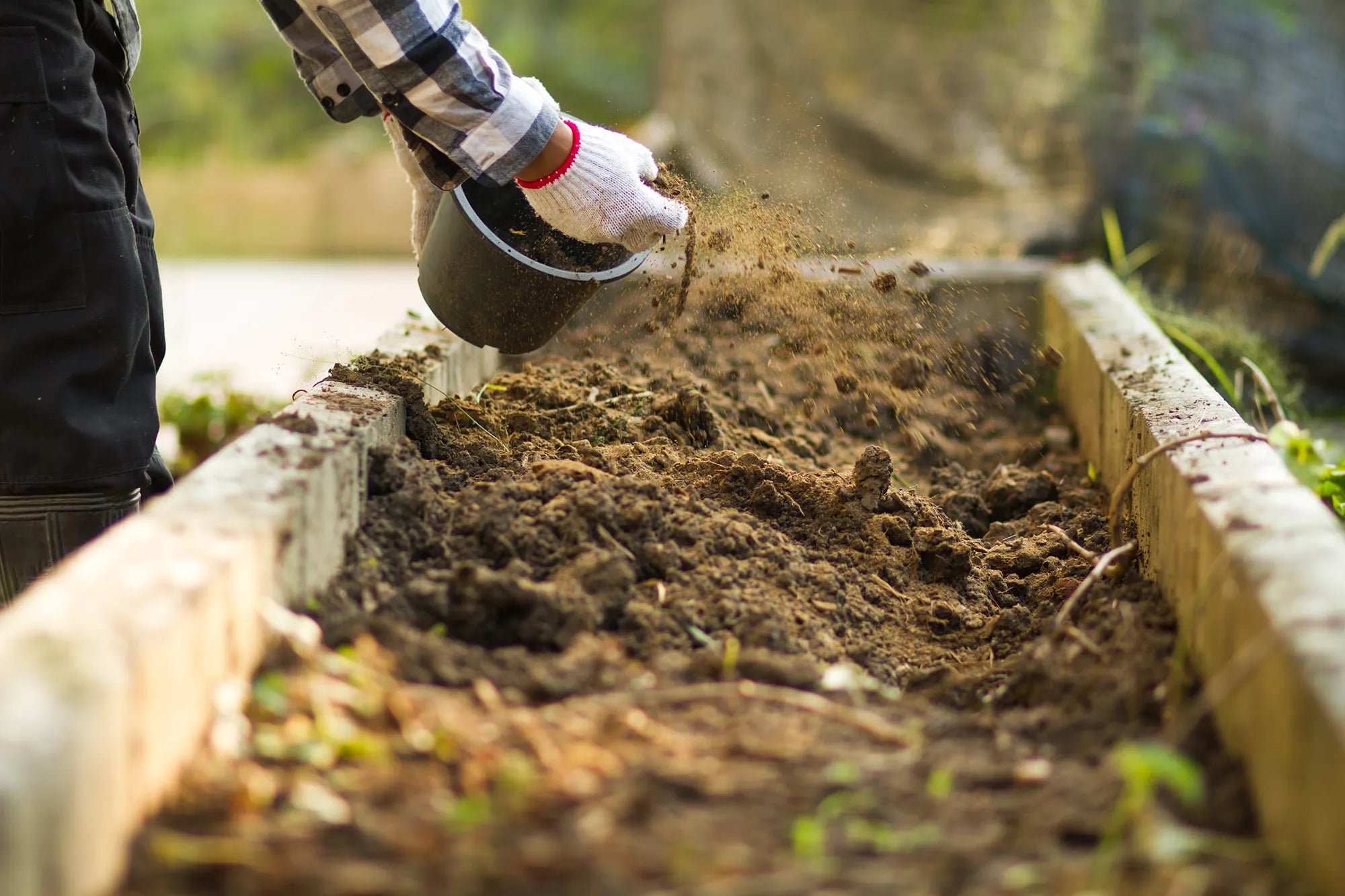 The Best Soil for Raised Garden Beds in Nashville, TN