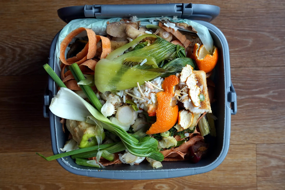 What Happens to Your Organic Waste when You Work with The Compost Company?
