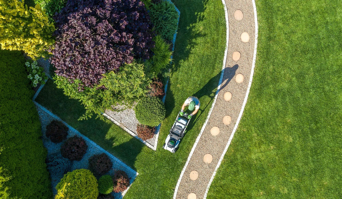 Fall Lawn Renovation: Overseeding with Compost for Healthier Grass