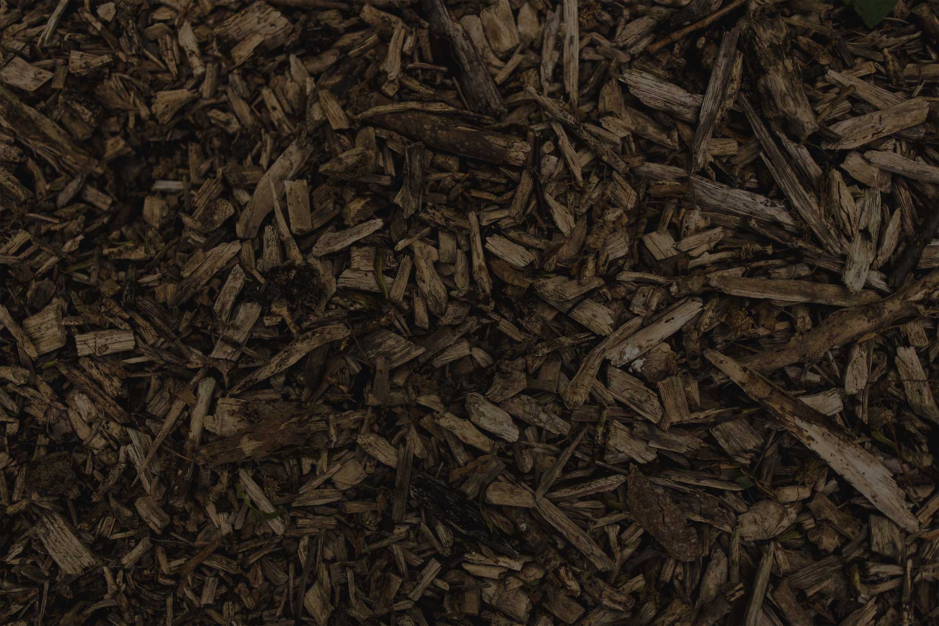 A Buyers Guide to Mulch: What to Know Before You Order