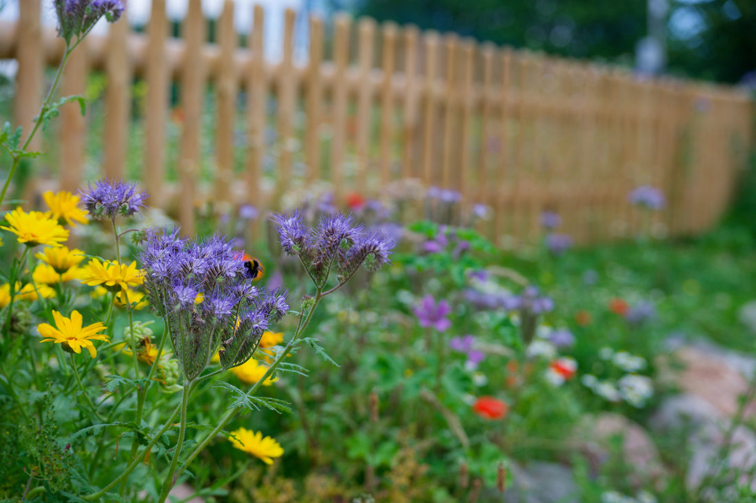 5 Backyard Projects Worth Tackling in Nashville This Summer