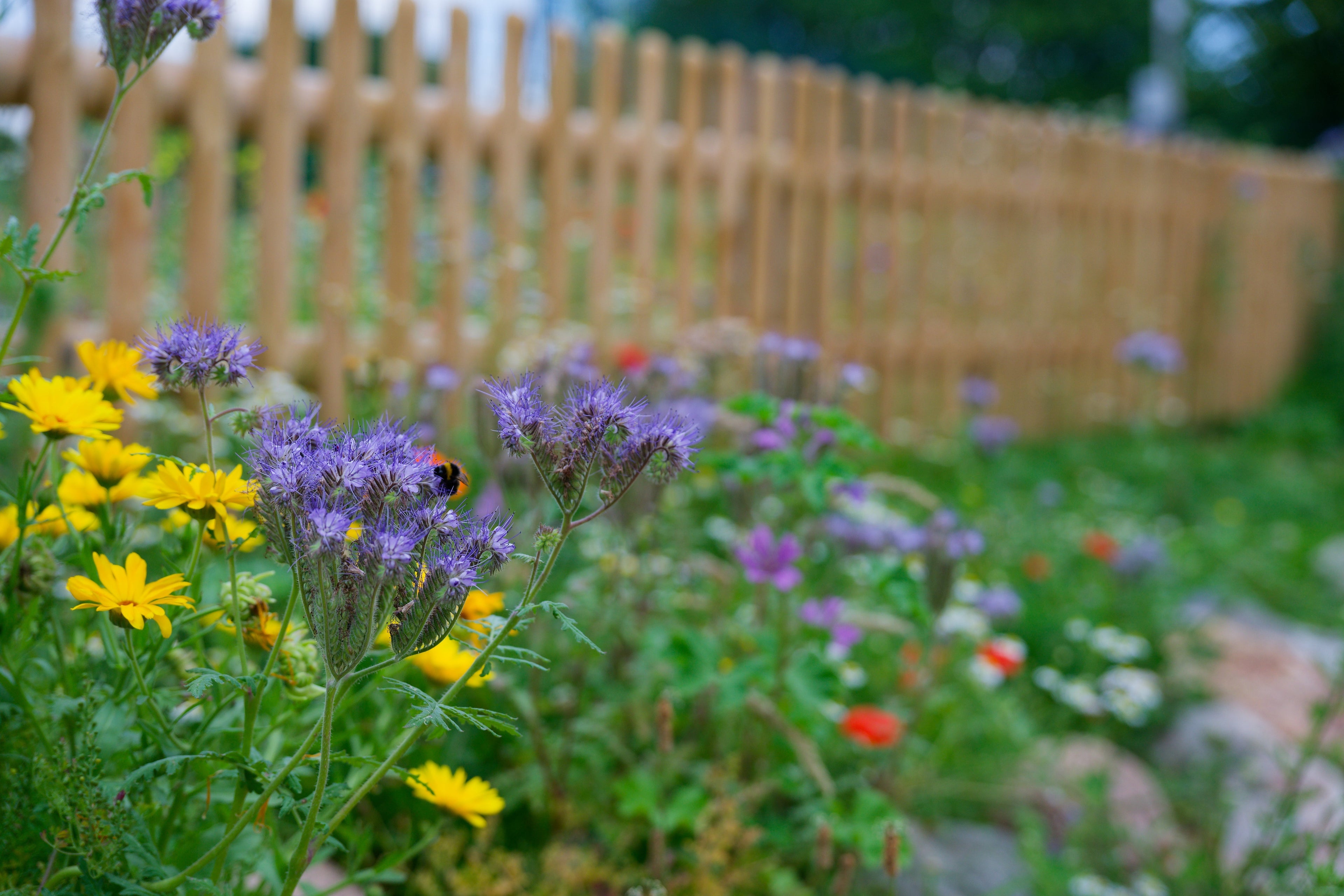 5 Backyard Projects Worth Tackling in Nashville This Summer