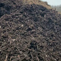 BlackJack Compost